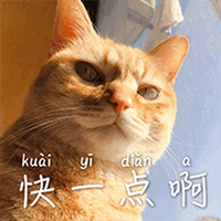 表情